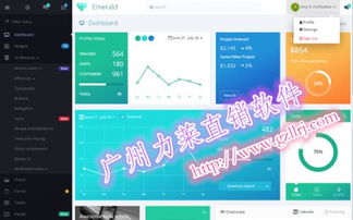 力莱软件级差结构会员管理软件开发,分红网 价格 20000元 套